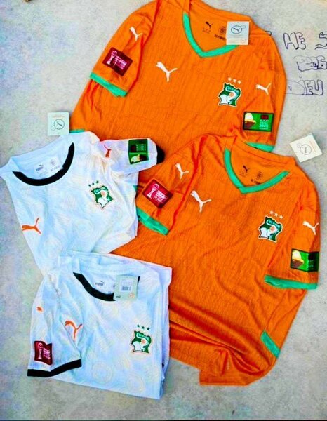 Maillot Côte d'Ivoire Puma