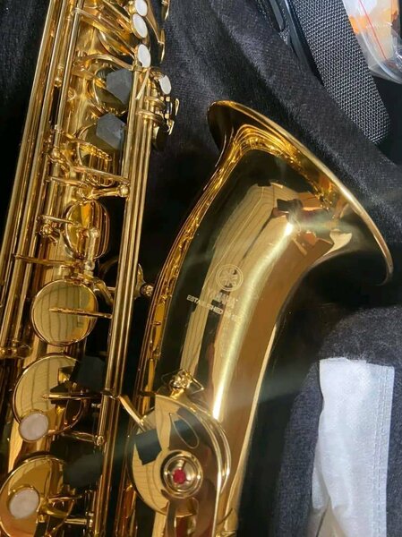 Saxophone Alto Doré