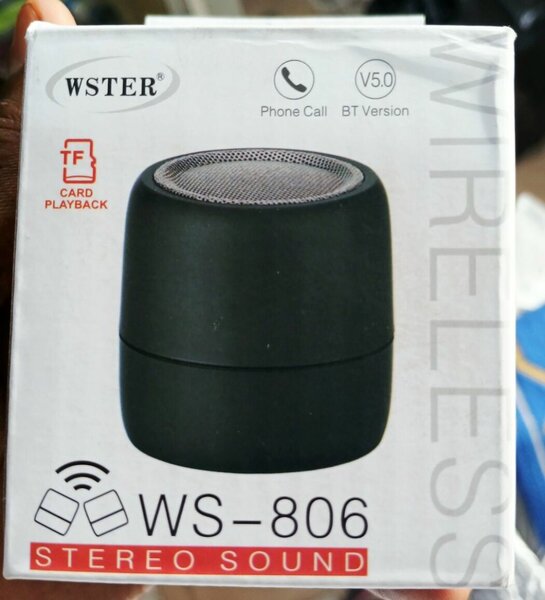 Enceinte Bluetooth WSTER WS-806
