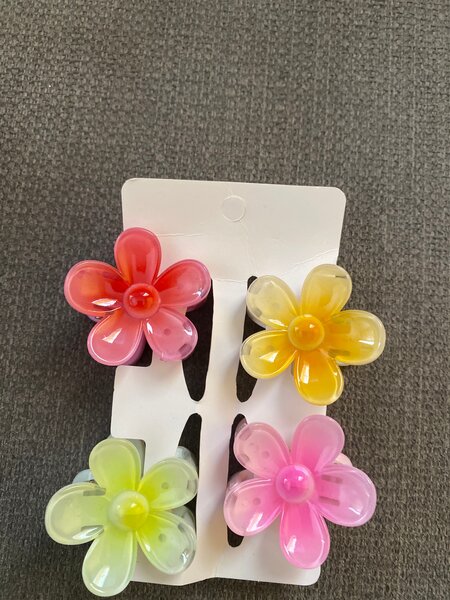 Pinces à cheveux fleurs colorées