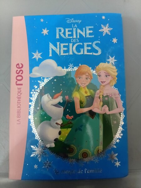 Livre La Reine des Neiges