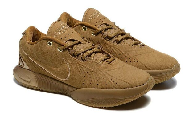 Basketball LeBron 22 maron