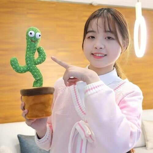 Cactus danseur musical