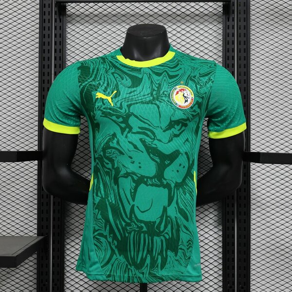 Maillot Sénégal
