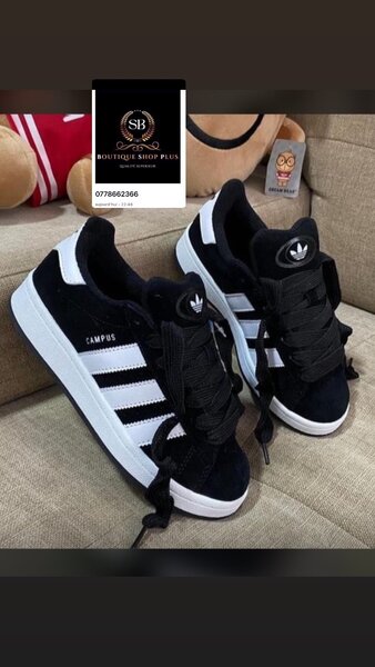 Basket Adidas campus authentique avec sa boîte