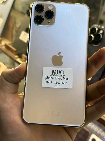 iPhone 11 Pro Max 256Go