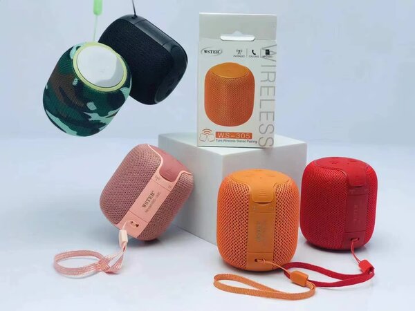 Enceintes Bluetooth Portable WS-305