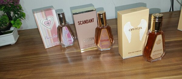 Fragrance world 50 mls perfumes