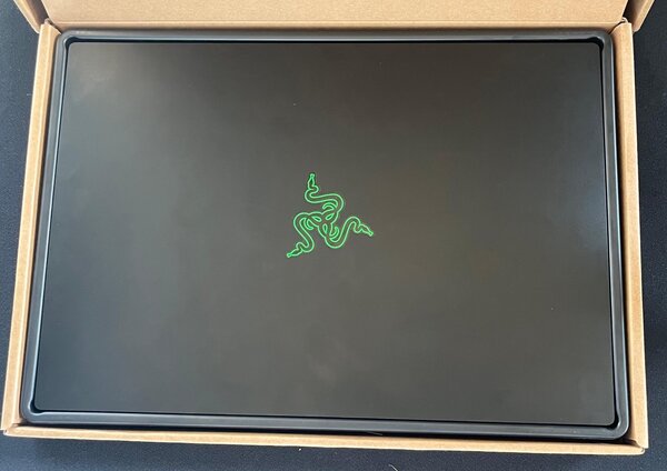 Gamer RAZER RZ09-0370