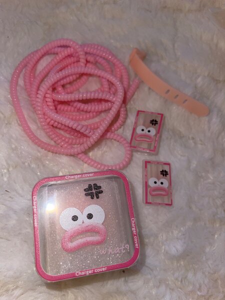 Protective iPhone charger protector