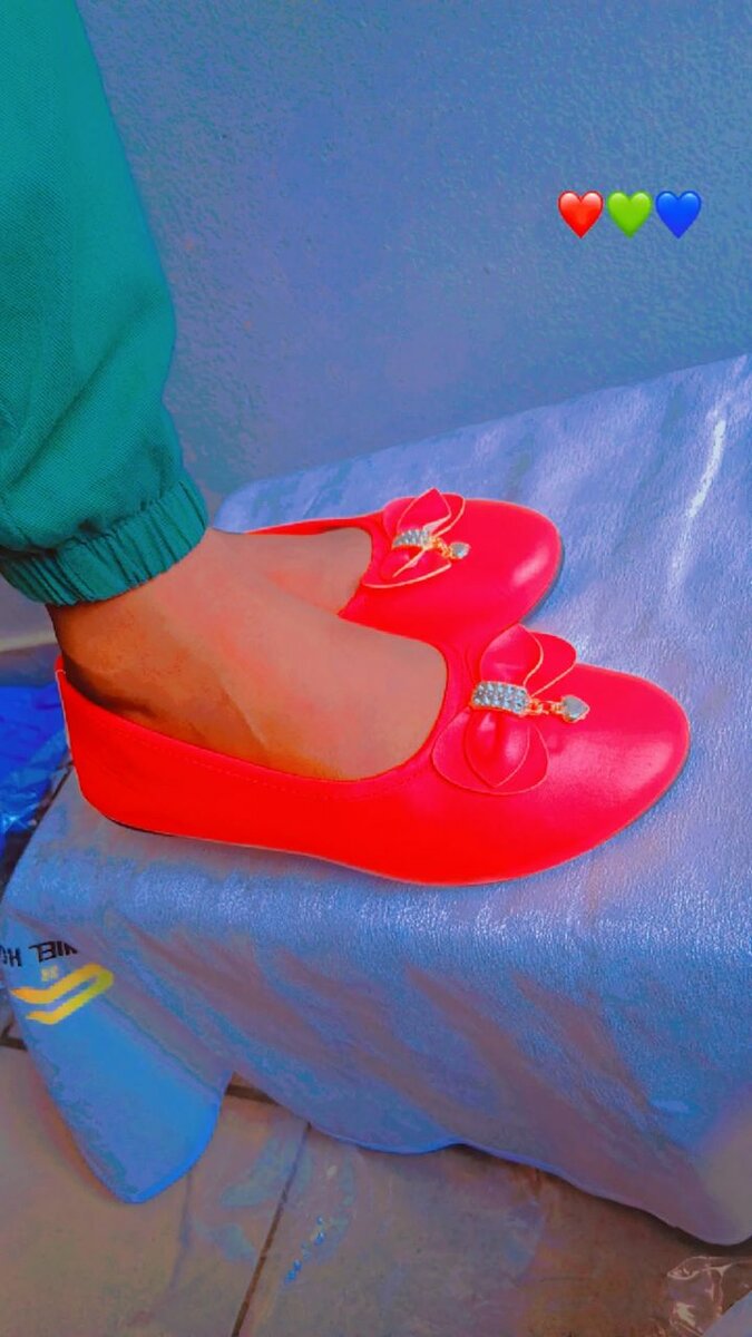 Ballerines élégantes pour femmes