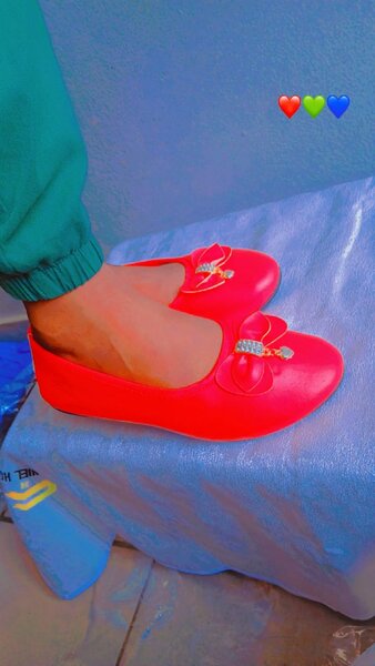 Ballerines élégantes pour femmes