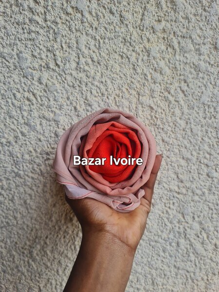 Voile bicolore Mousseline