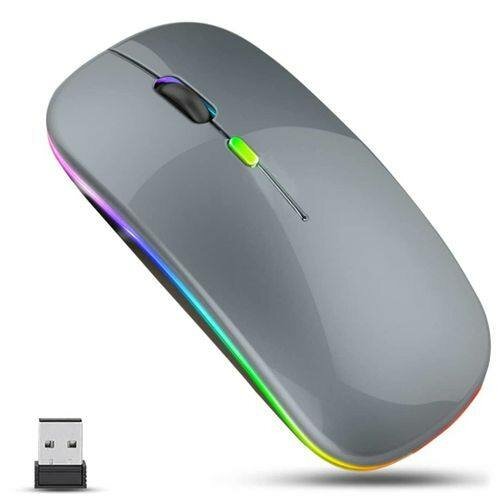 Souris sans fil RGB ergonomique