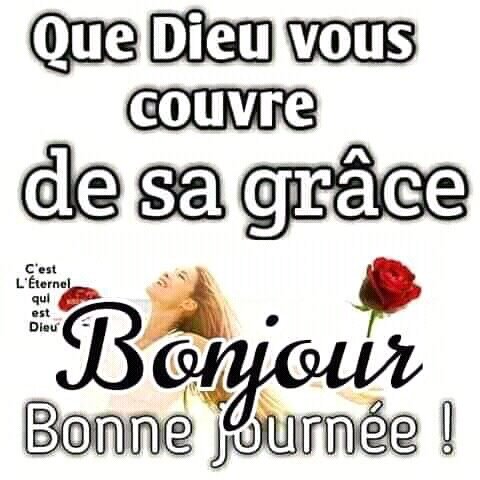 Tout article sportif et co fiction de teeshirt