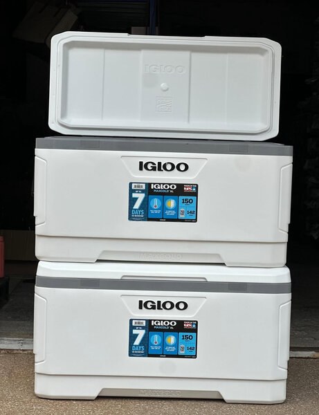 IGLOO ICE CHEST/ COOLER