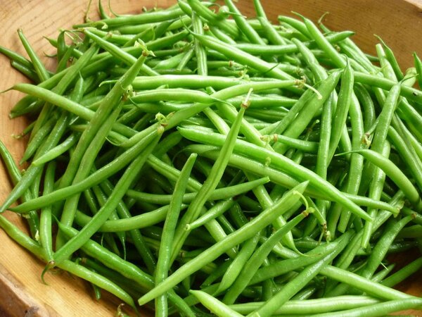 Haricots verts frais bio