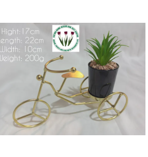Flower Pots in Golden Metallic (Imported)
