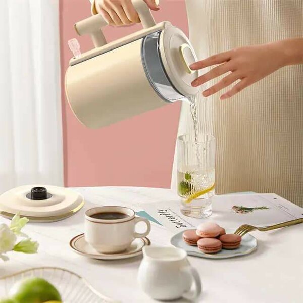 Bouilloires électriques en verre sans Bpa avec filtre en aci