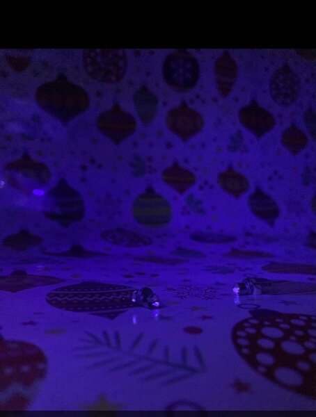 Boucles d'Oreilles aimantées