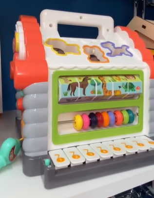 Развивающие домики идеально подходят для малышей. Эти игрушки направлены на развитие мелкой моторики, логического мышления и сенсорного восприятия.