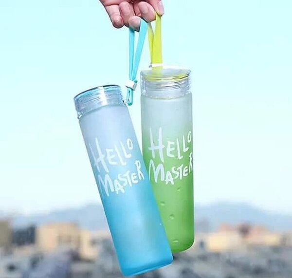 Bouteilles "Hello Master" 500ml