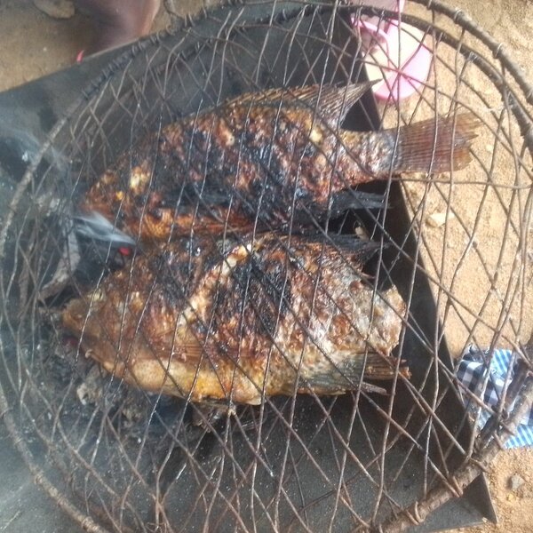Poisson Grillé Délicieux