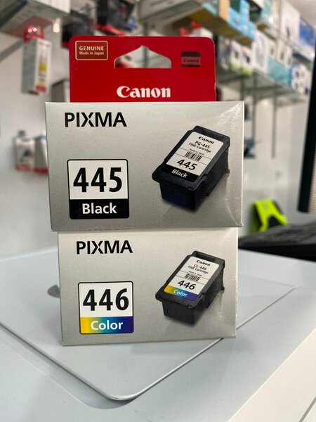 Cartouches Canon PIXMA 445/446