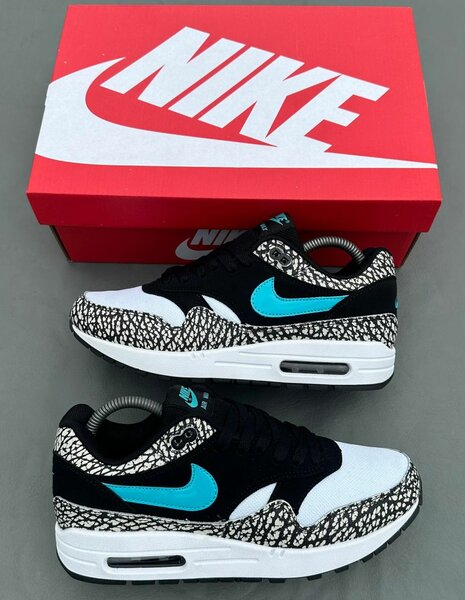 Baskets Nike Air Max