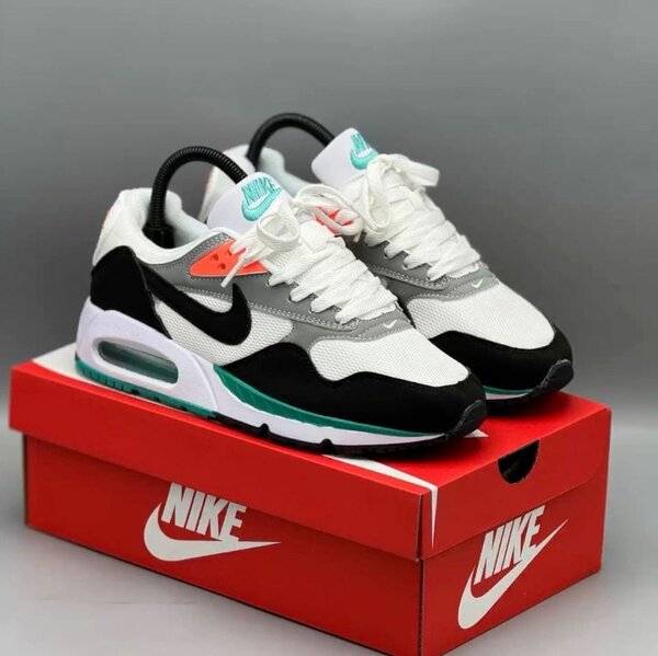 Baskets Nike Air Max élégantes
