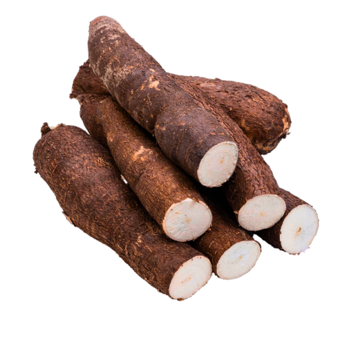 Tubercules de Manioc Frais