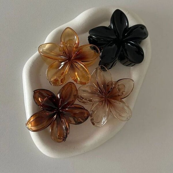 Pinces à cheveux colorées