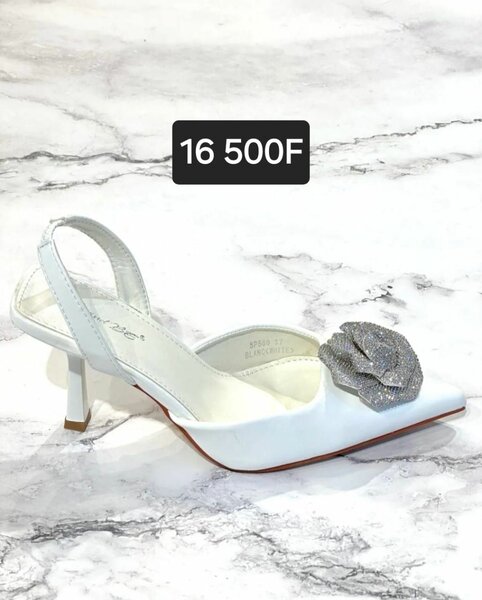 Escarpins élégants à talons