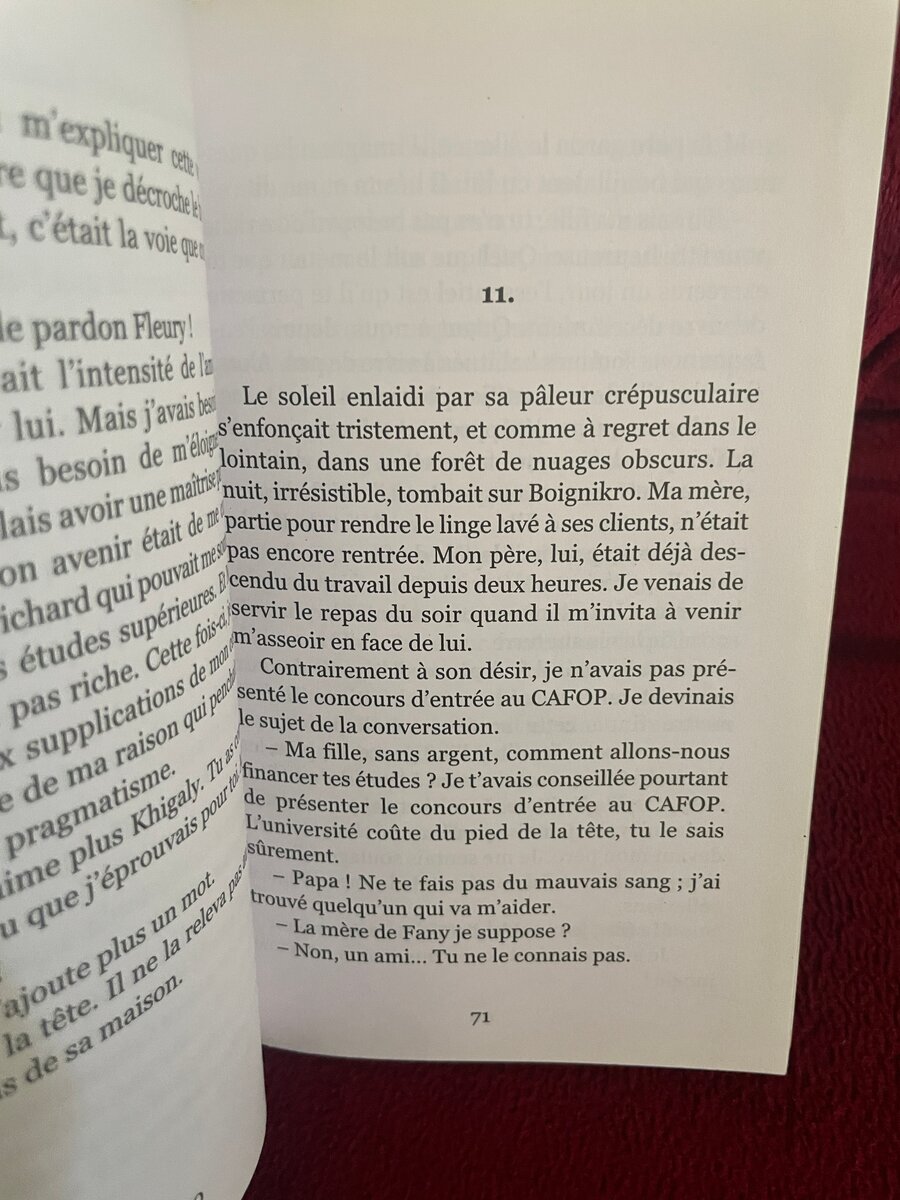 Roman: Pour le bonheur des miens