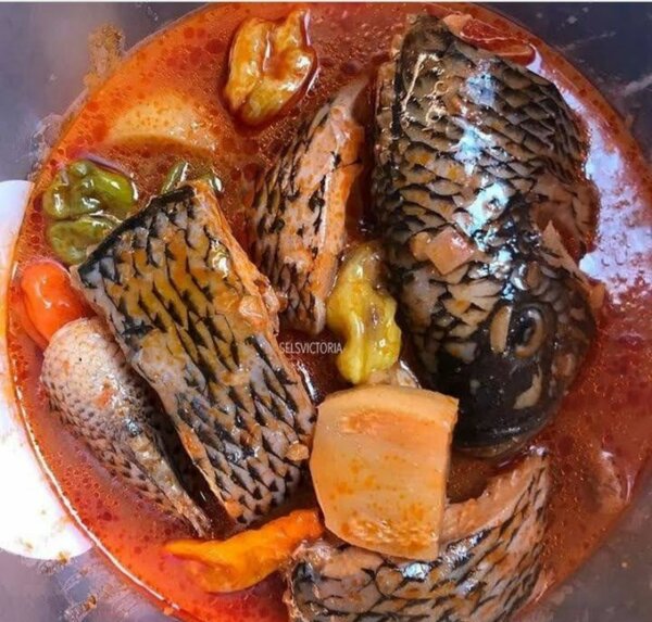 Savoureuse soupe de poisson épicée