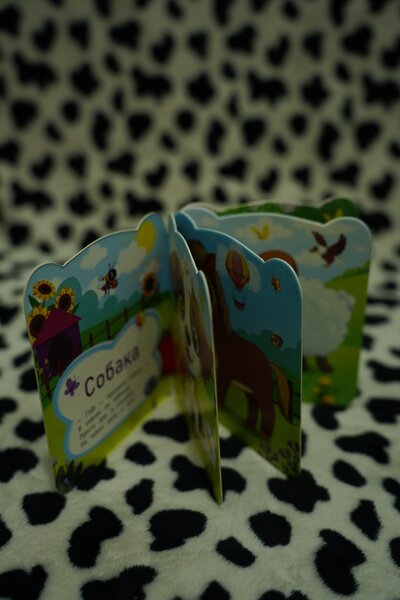 Детская книжка развивашка