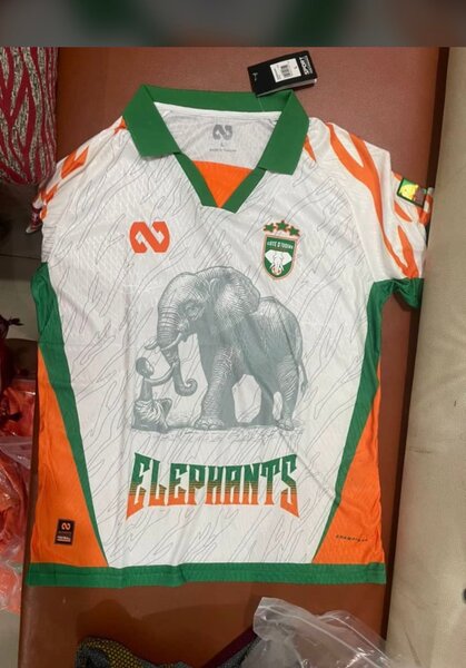 Maillot de Football Éléphants