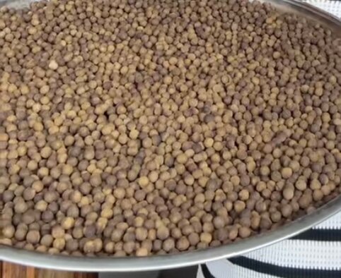 Croquettes pour chiens premium