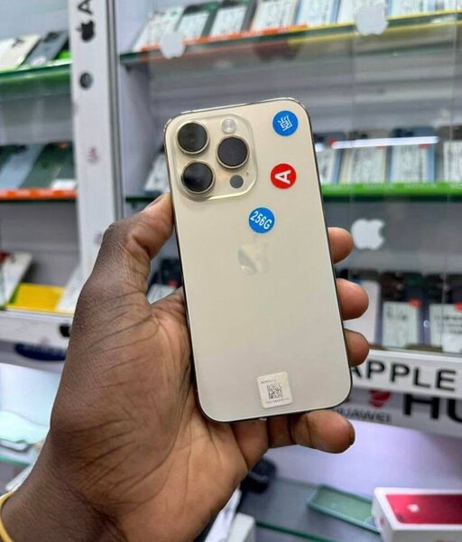 iPhone Pro Max 256 Go