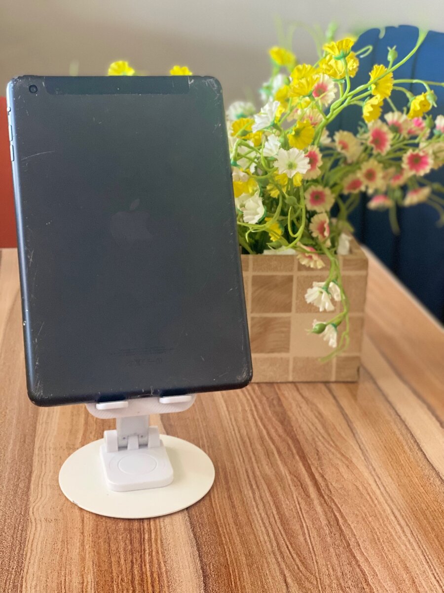 iPad mini