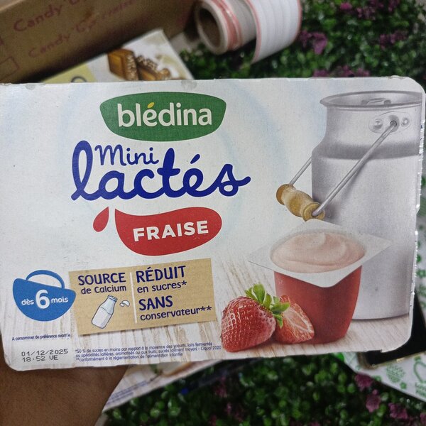 Mini Lactés Blédina Fraise