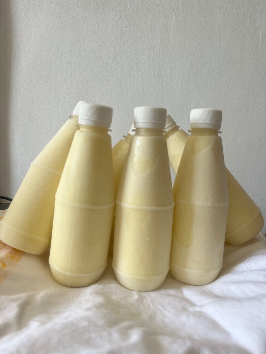 Lait et dêguê (ivoire caillé)