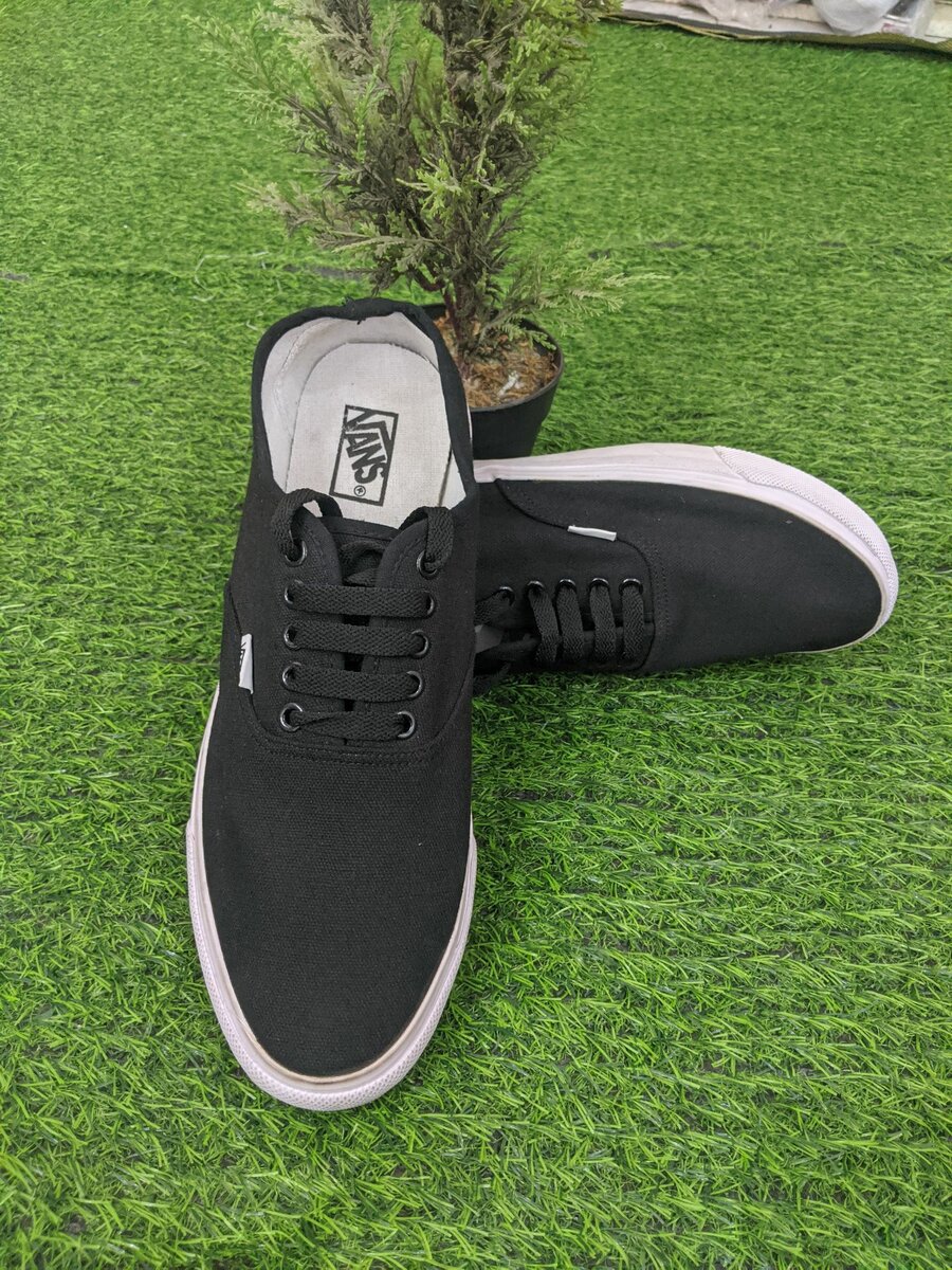 Vans and All  Star Converse