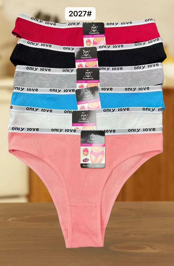 Lot de 6 culottes féminines