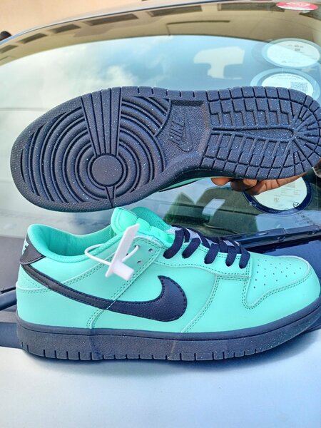 SB dunk low First Class