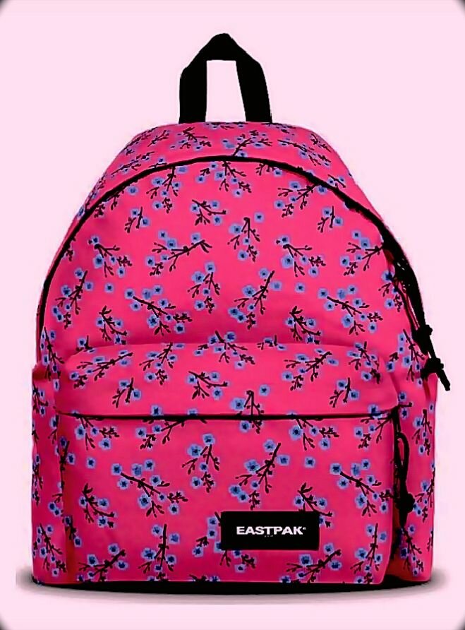 Sac à dos Eastpak stylé