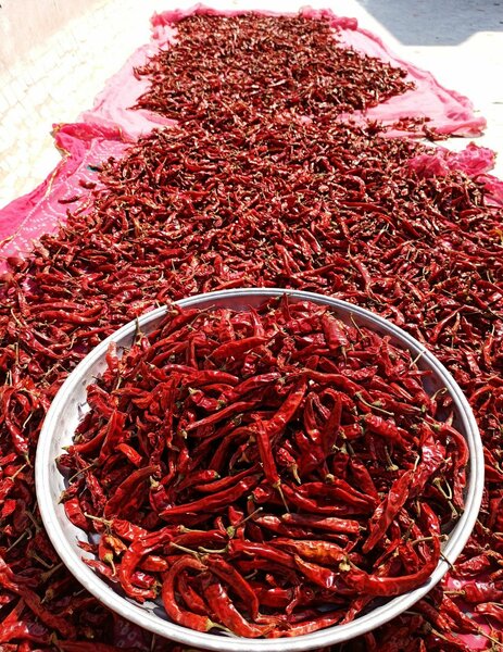 Piments Rouges Séchés Premium