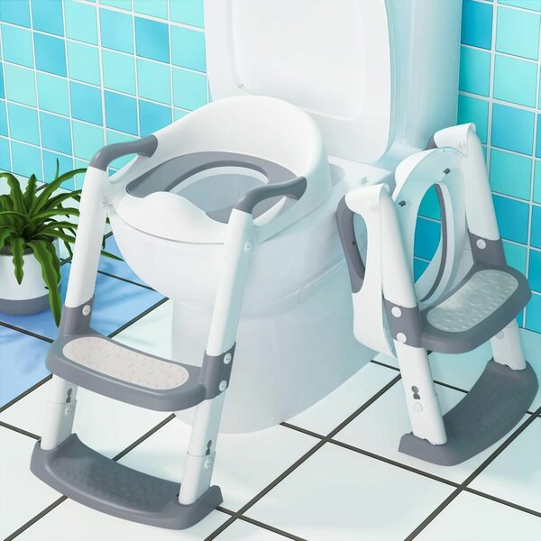 Toilet ladder and potty seat