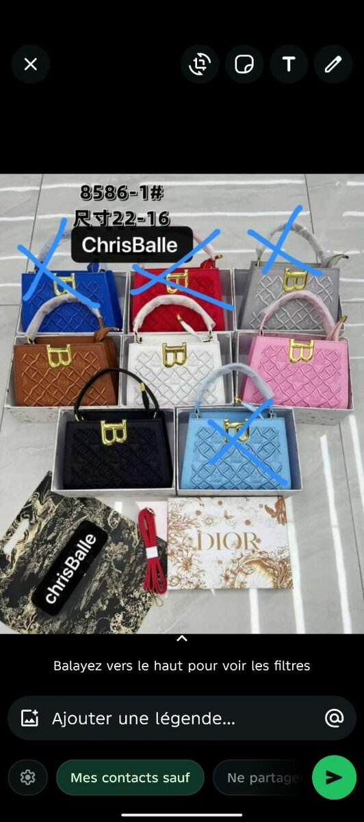 Sac à Main Élégant Femme