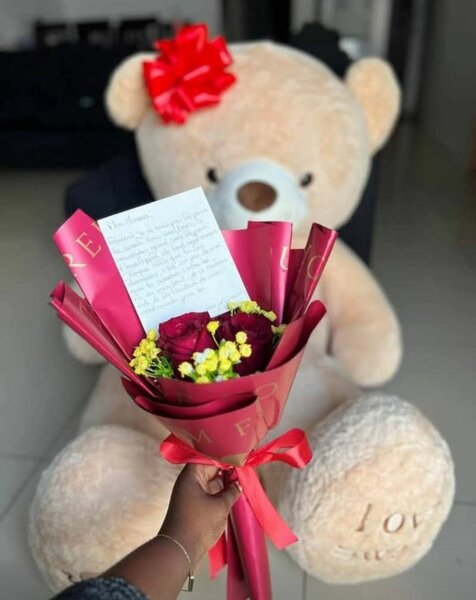 Ours en peluche géant